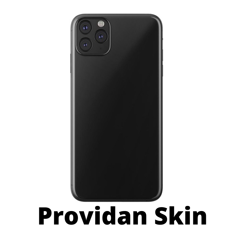 Providan Skin